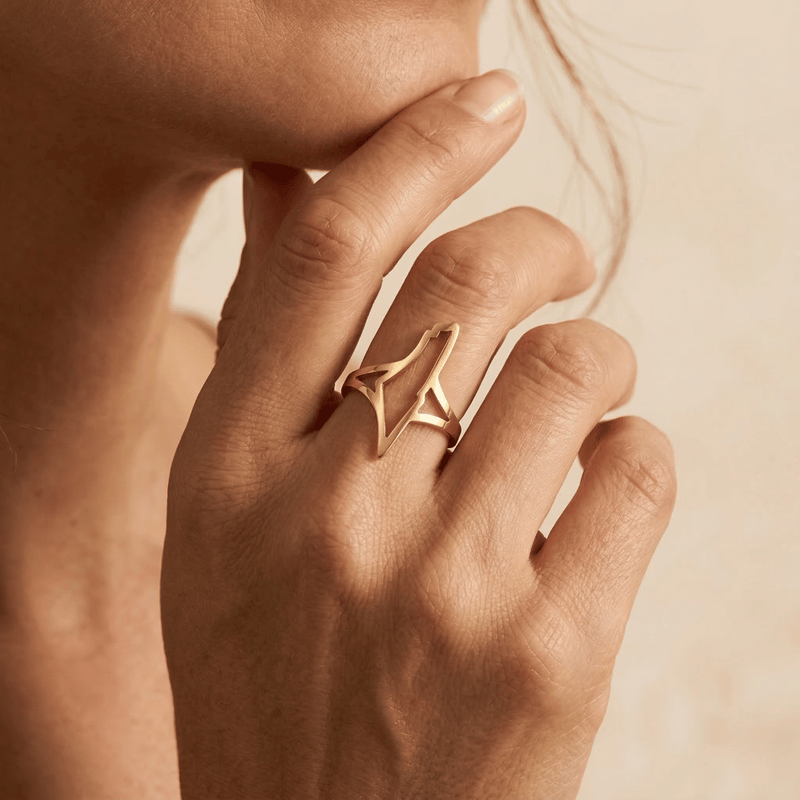 Palestine Minimal Ring
